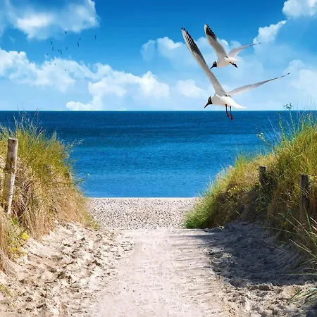 Ostsee-ferienparadies Fuer 8 Personen 別荘